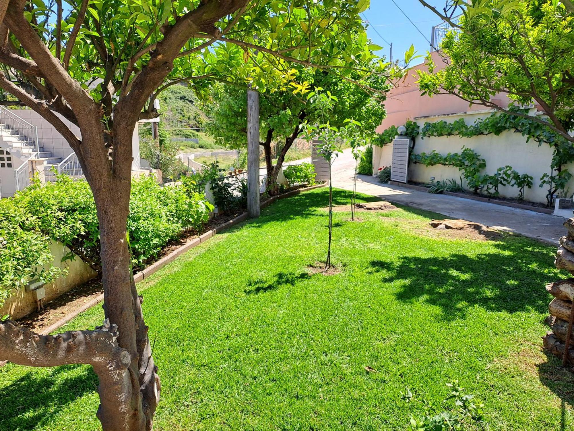 Nick's House Achladi